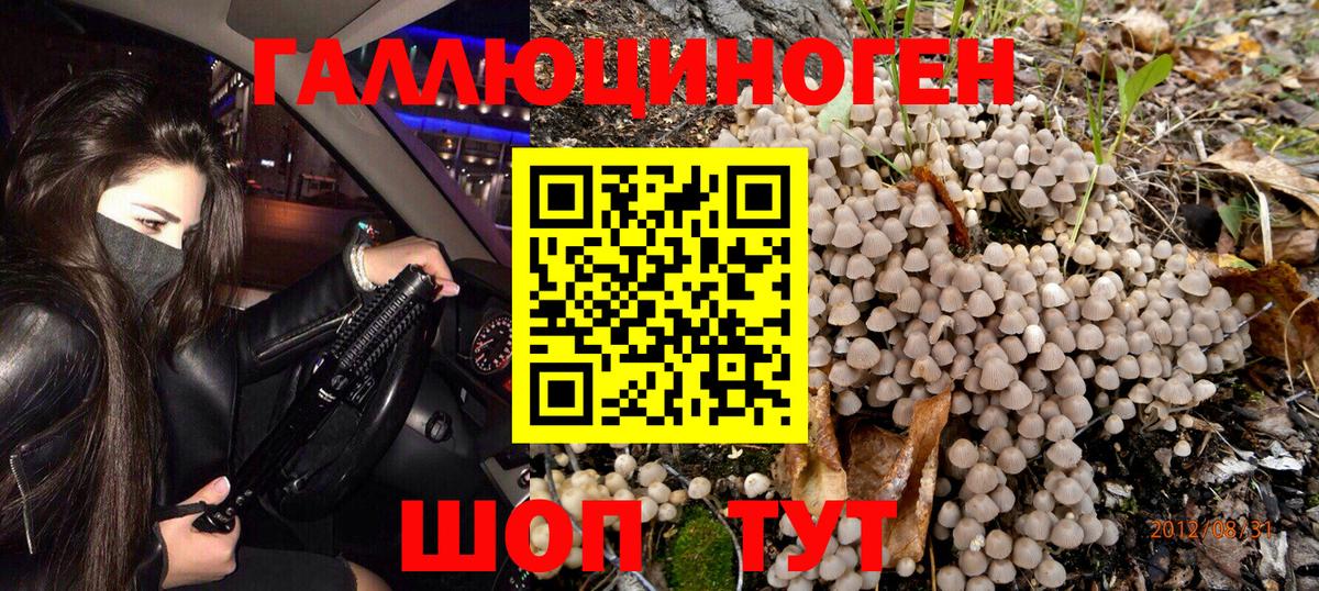 Псилоцибиновые грибы мухоморы Углич