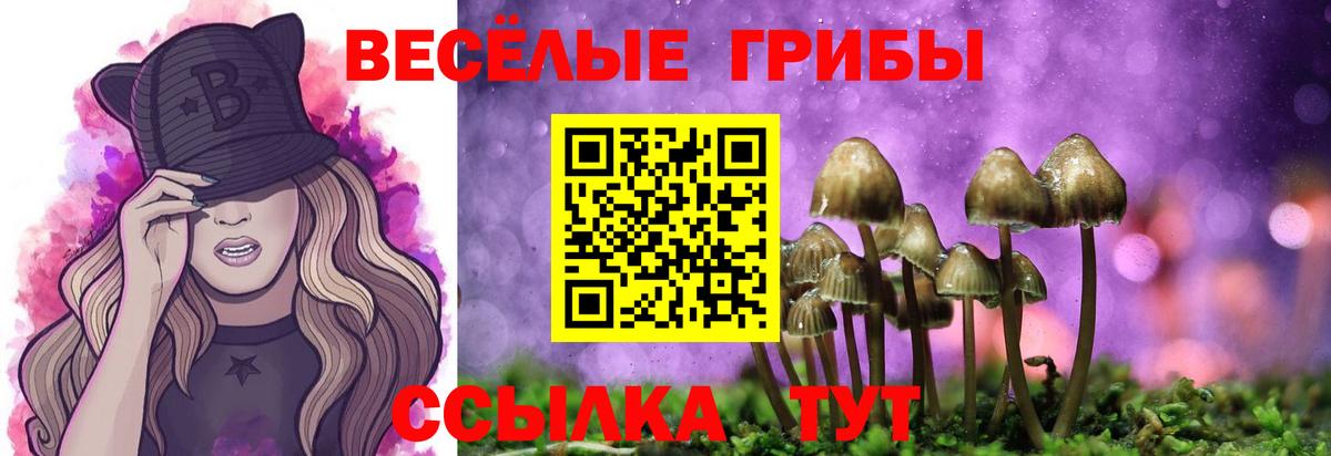 Галлюциногенные грибы мицелий  Вход с VPN  наркота  Углич 